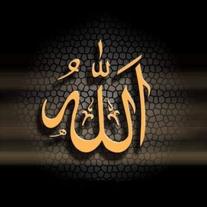 Meet your Posher, Zulfar